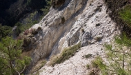 29-DSC01338