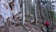 DSC01387