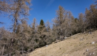 DSC01421