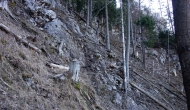 DSC01480