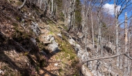 11-DSC01714