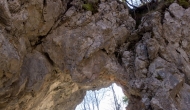 17-DSC01725