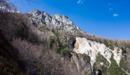 19-DSC01729