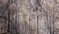 23-DSC01734