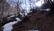 28-DSC01744