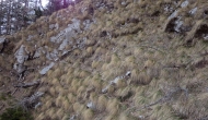 38-DSC01761