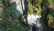80-DSC01797