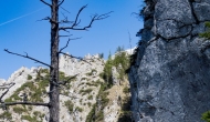 18-DSC01940