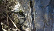 38-DSC01971