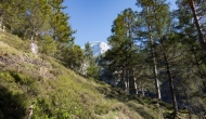 46-DSC01982