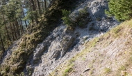 56-DSC01993