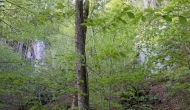 62-DSC02003