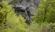 01-DSC02015