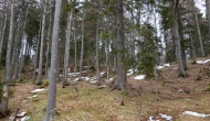 20-DSC02042