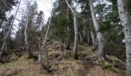 25-DSC02051