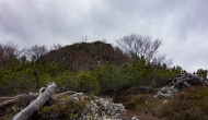 29-DSC02059