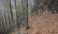 35-DSC02067