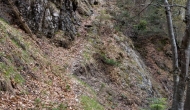 37-DSC02071