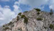 11-DSC02167