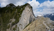 13-DSC02173