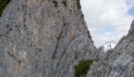 15-DSC02176