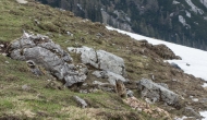 64-DSC02252