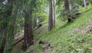 01-DSC02267
