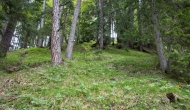 02-DSC02268