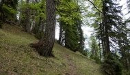 12-DSC02286