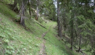 41-DSC02330
