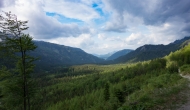 50-DSC02342