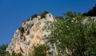 13-DSC02376