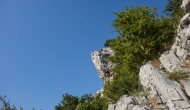 22-DSC02388