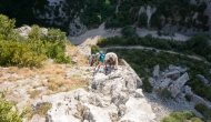 25-DSC02392