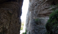 05-DSC02701