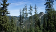 10-DSC02725