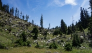 17-DSC02736