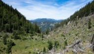 21-DSC02740