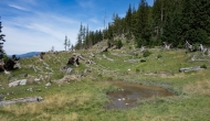 24-DSC02743