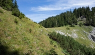 33-DSC02754