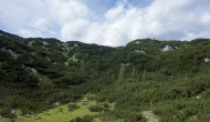 52-DSC02783