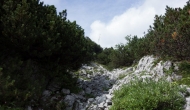 55-DSC02786