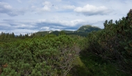 61-DSC02795