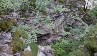 63-DSC02797