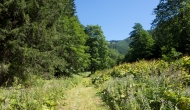 01-DSC02812