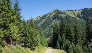 03-DSC02814