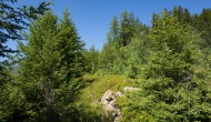 10-DSC02825