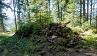 14-DSC02830