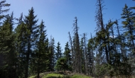 24-DSC02843