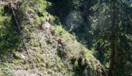 27-DSC02852